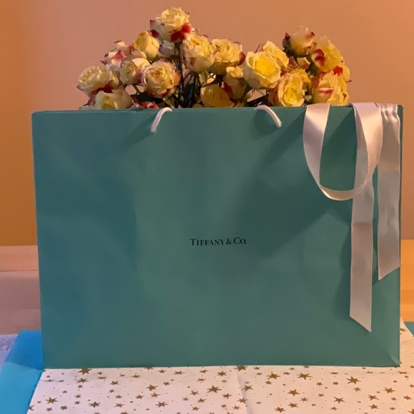 🎀 TIFFANY & CO. BAG & BOXES 🎀 - Picture 10 of 16
